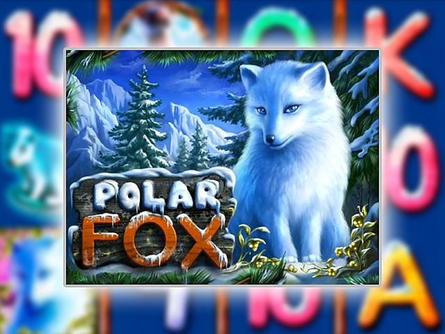 polar fox gra